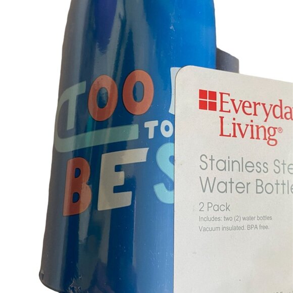 Everyday Living 16.4 oz Stainless Steel Water Bottles-2 Pack-New In Package - Picture 4 of 4